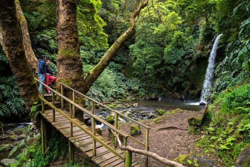 São Miguel Island: Chasing Waterfalls in the Azores Tour - Discovering São Miguel’s Waterfalls