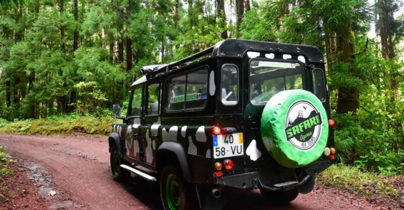 São Miguel Island: Full Day Furnas and Furnas Lake Tour - Key Points