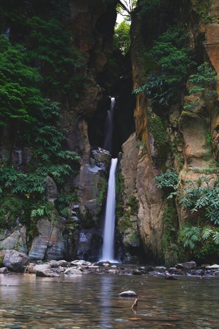 Sao Miguel Island: Sete Cidades and Lagoa do Fogo Tour - Who Will Love This Tour?