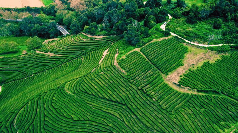 São Miguel: Majestic North Tour (Waterfalls w/Lunch) - Key Points