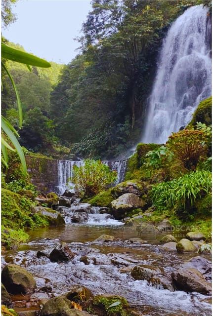 São Miguel: Majestic North Tour (Waterfalls w/Lunch) - Exploring São Miguel’s North in Detail
