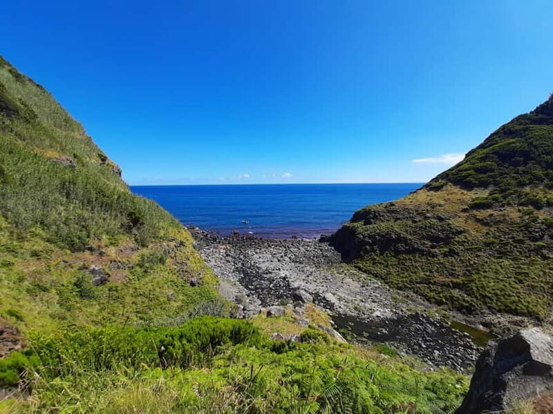 São Miguel: Moinho do Felix Hike with Tea Factory Visit - An In-Depth Look at the Experience