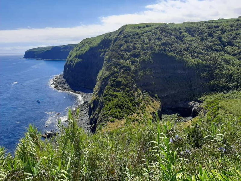 São Miguel: Moinho do Felix Hike with Tea Factory Visit - Who Will Love This Tour?