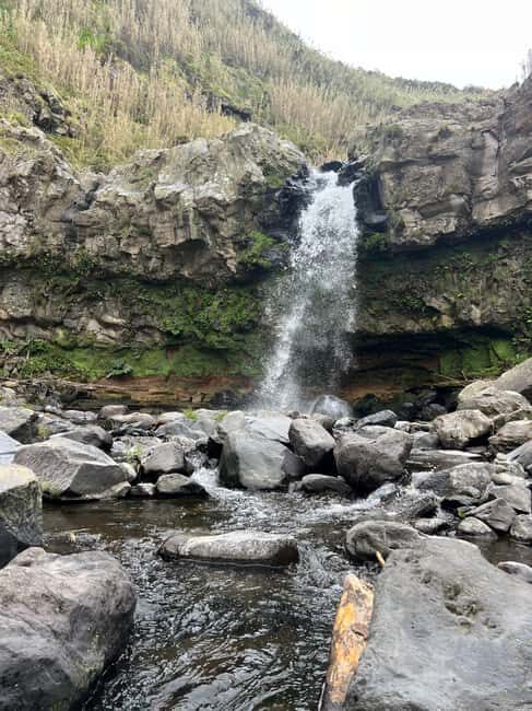 São Miguel: Nordeste Tour with Cow Milking - Discover the Charm of São Miguel’s Nordeste Region: A Complete Review of the Guided Tour with Cow Milking