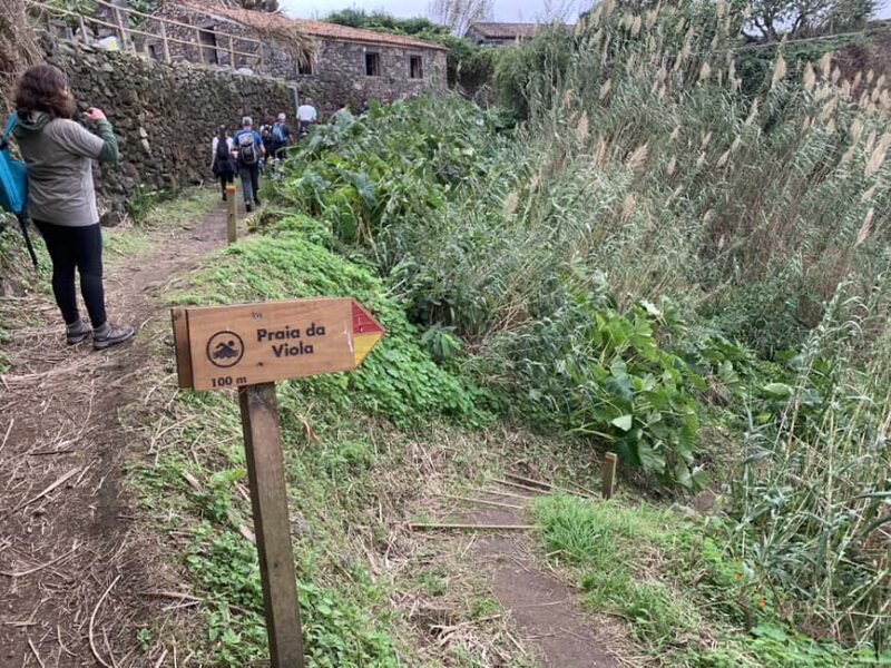 São Miguel: North Coast Private Tour & Hike - Exploring São Miguel’s North Coast: What to Expect From the Tour