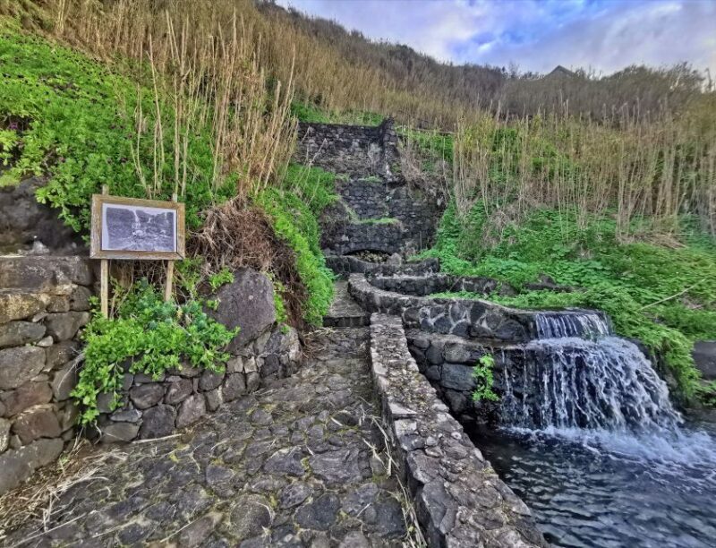 São Miguel: Ribeira Funda Hike & Tea Plantation with Lunch - FAQs