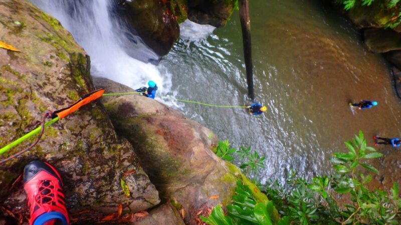 Sao Miguel: Salto do Cabrito Guided Canyoning Experience - What to Expect from Your Salto do Cabrito Canyoning Tour
