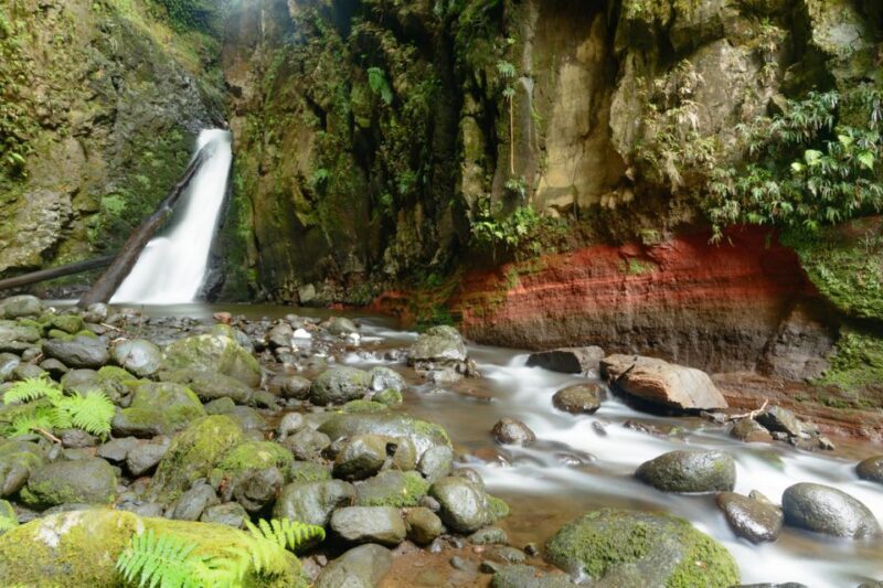 Sao Miguel: Salto do Cabrito Guided Canyoning Experience - Who Would Love This Experience?