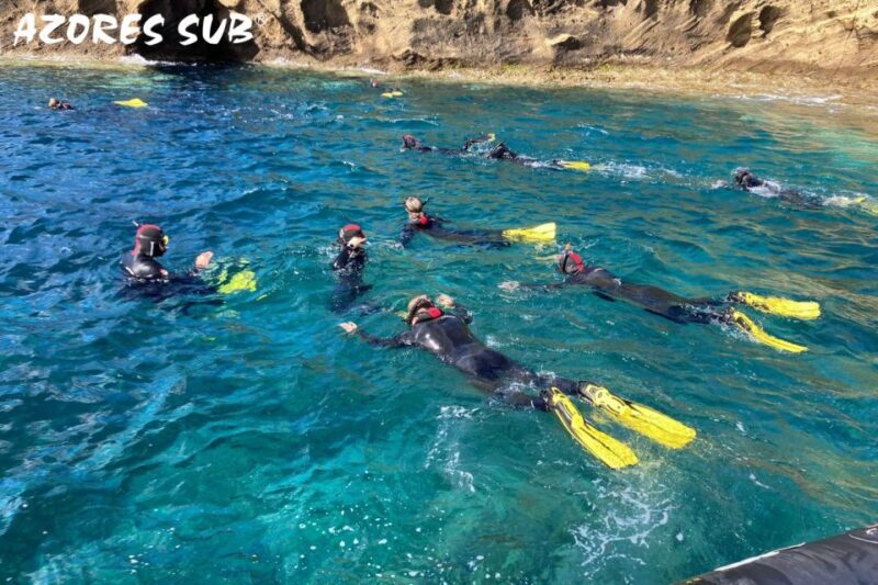 Sao Miguel: Snorkeling around Vila Franca do Campo - What You Can Expect from the Snorkeling Tour