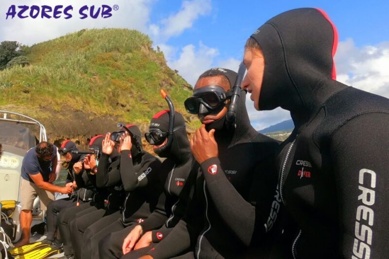 Sao Miguel: Snorkeling around Vila Franca do Campo - Practical Details and Value