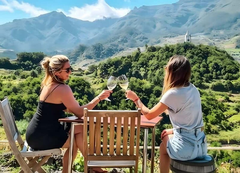 São Vicente Vineyard Visit With Traditional Lunch - A Full Breakdown of the São Vicente Vineyard Experience