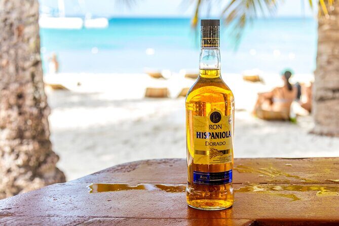 Saona Island Cruise & Private Beach - Who Is This Tour Best For?