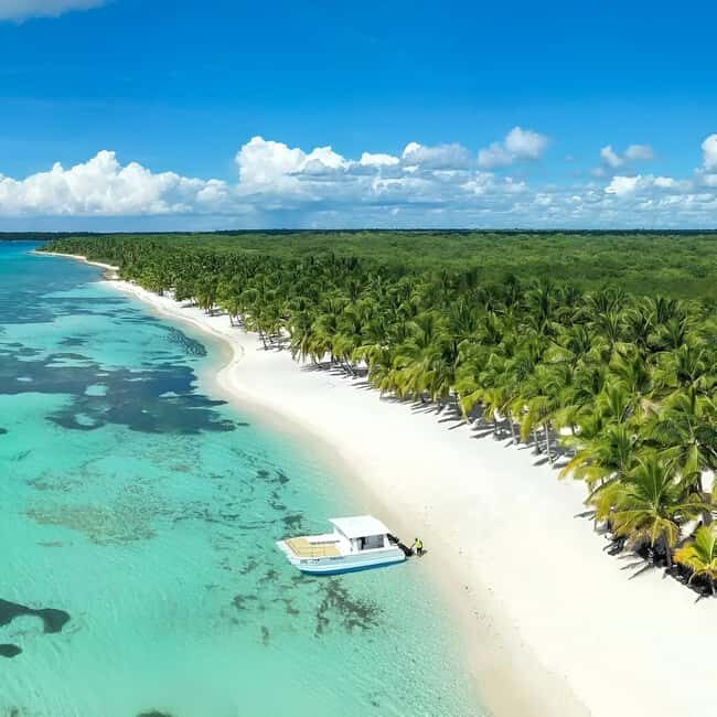 Saona Island Day Trip + Lunch + Open Bar from Punta Cana - Key Points