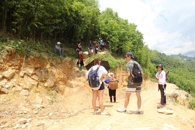 Sapa 1-Day Trek: Hidden Valleys & Rice Terraces - Key Points