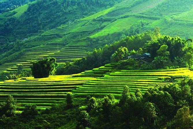 Sapa 2 Day Tour By Bus from Hanoi: Small Group; Trekking; Hotel; Express way - Final Thoughts: Is This Tour Right for You?