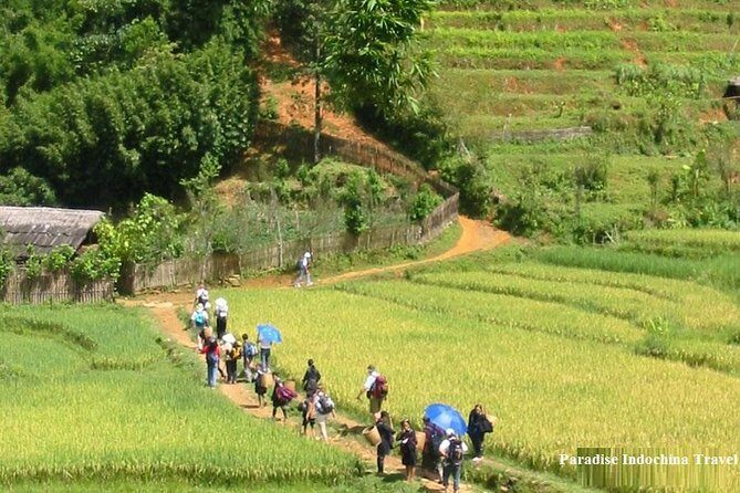 Sapa 2 Day Tour By Bus from Hanoi: Small Group; Trekking; Hotel; Express way - The Sum Up