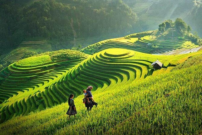 Sapa 2 Days 1 Night From Hanoi - Overnight in Ta Van Village - The Next Day: More Trekking and Return to Sapa