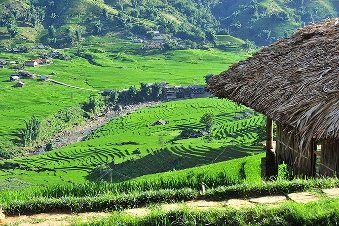 Sapa 2 Days 1 Night From Hanoi - Overnight in Ta Van Village - Returning to Hanoi: The Comfort of the Sleeper Bus