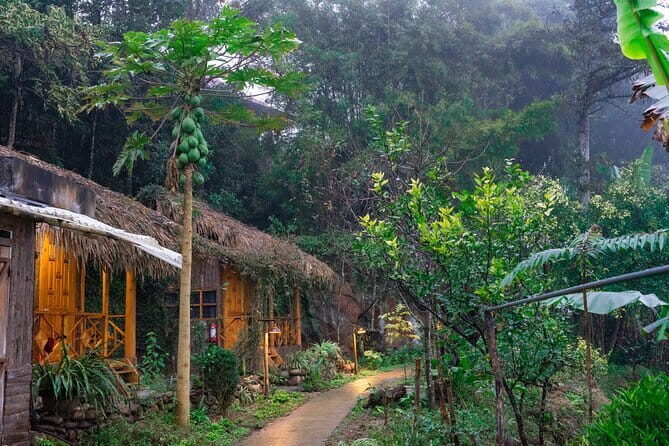 Sapa 2 Days 1 Night Overnight at Homestay Ta Van Village - Final Thoughts