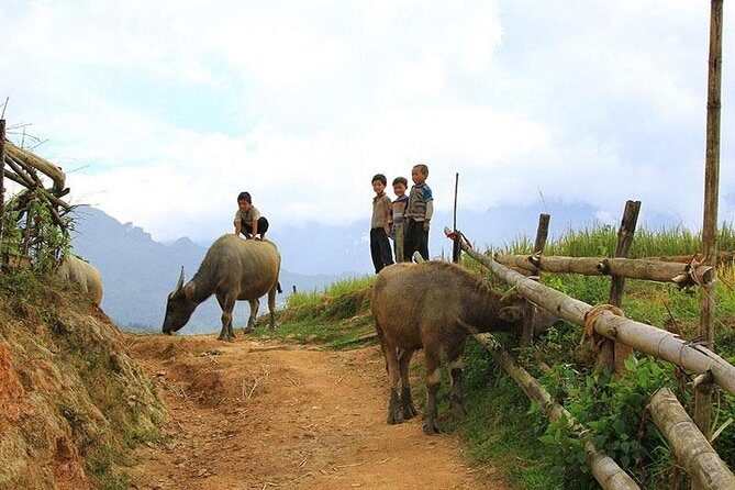Sapa 2 days 1 night trekking Lao Chai Ta Van - Fansipan mountain by cable car - Authenticity and Local Experiences: What Travelers Love