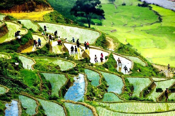 Sapa 2D1N All Included (Bus & Homestay) - Key Points