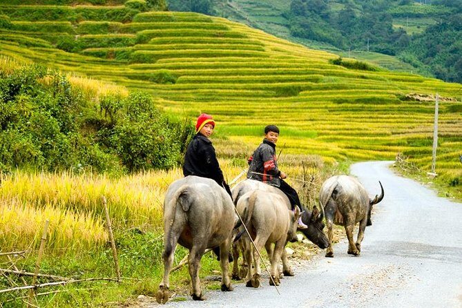 Sapa 3 Days 2 Nights Trekking Tour From Hanoi (2 Nights in Hotel) - FAQ
