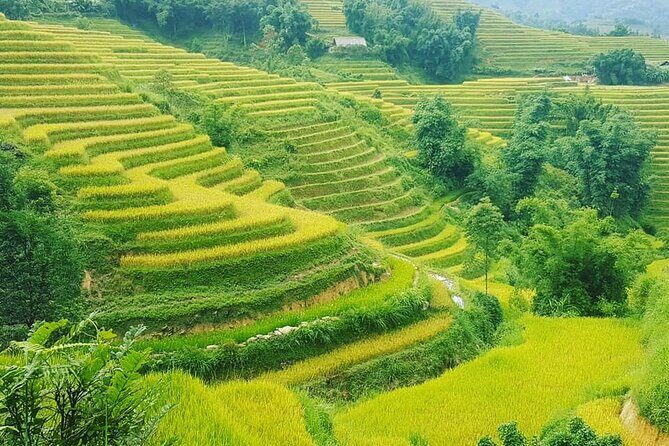 Sapa 3 Days Trekking Tour (1 Night in Bungalow, 1 Night In Hotel) - FAQs