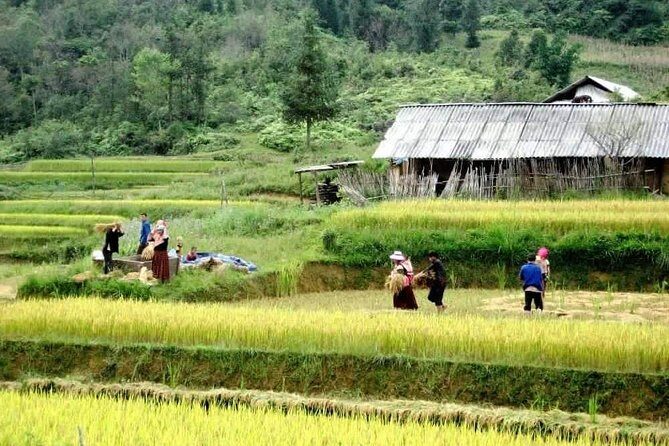 Sapa 3 Days Trekking Tour By Bus from Hanoi (2 Nights in Hotel) - FAQ