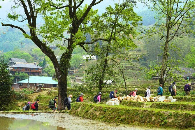 Sapa Adventure 3 days 2 nights - Final Thoughts: Who Will Love This Tour?
