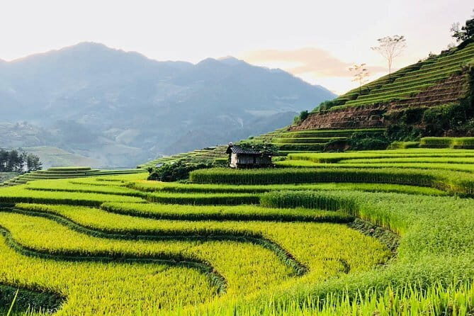 Sapa Adventure Motorbike Tour With Local Guide - Final Thoughts