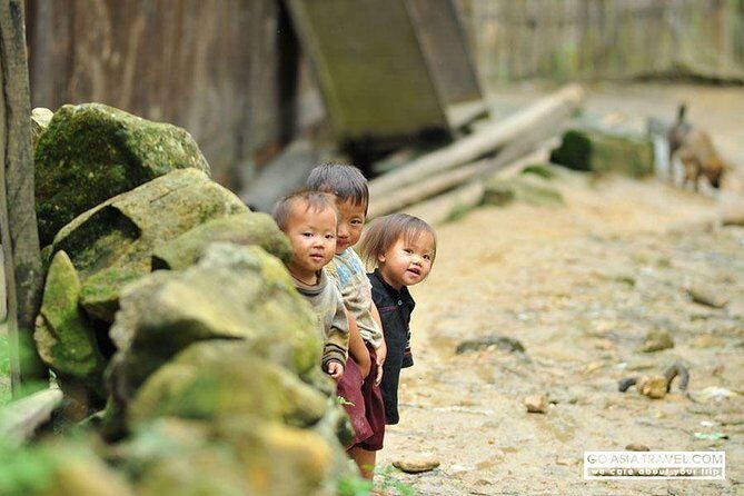 Sapa - Bac Ha Trek Tour - Night Train & Bus & Homestay overnight - An In-Depth Look at the Sapa - Bac Ha Trek Tour