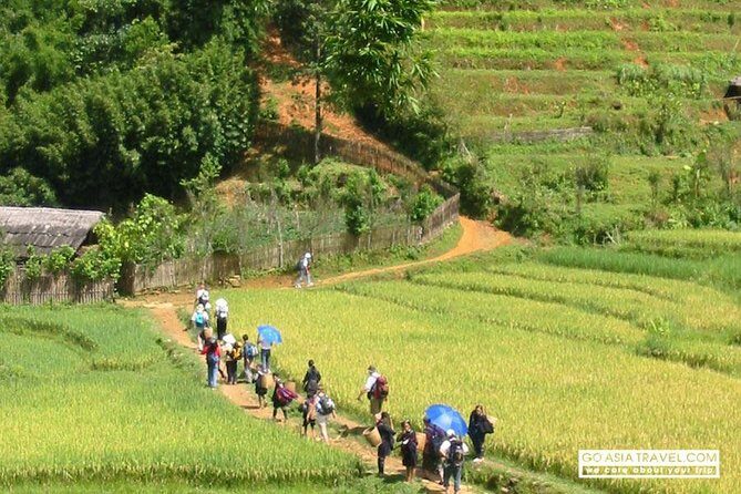 Sapa - Bac Ha Trek Tour - Night Train & Bus & Homestay overnight - Why This Tour Works for Travelers