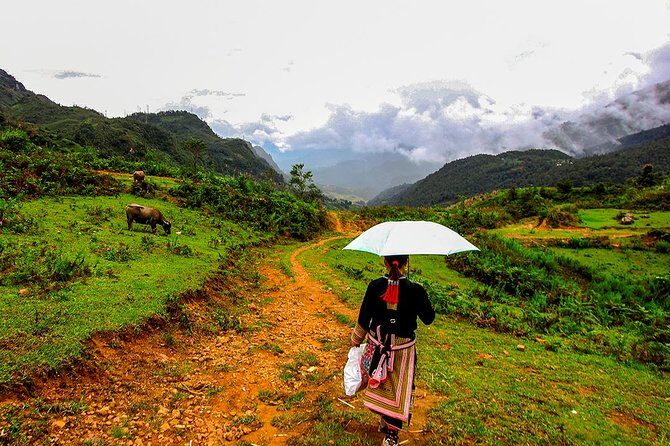 Sapa Easy Trekking Tour 1 Day - Rice Paddies and Cultures - A Detailed Look at the Sapa Easy Trekking Tour