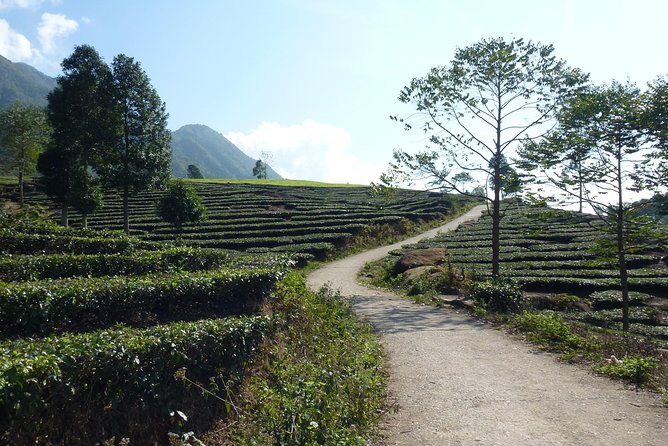 Sapa Full Day Motorbike Tour - Who Will Love This Tour?