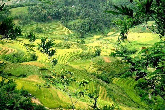 Sapa: Full-Day Private Muong Hoa Valley Tour - Key Points