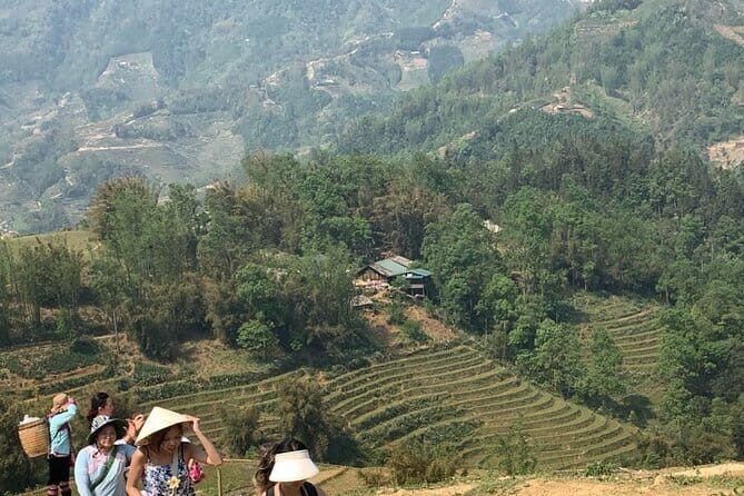Sapa Full Day Trekking Through Rice Fields Terrace - The Sum Up