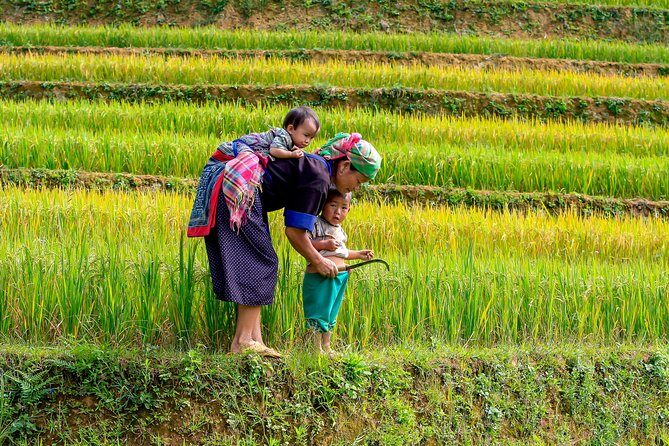 Sapa hard trekking tour 3 days 2 nights by bus - Homestay - Why Choose This Tour?