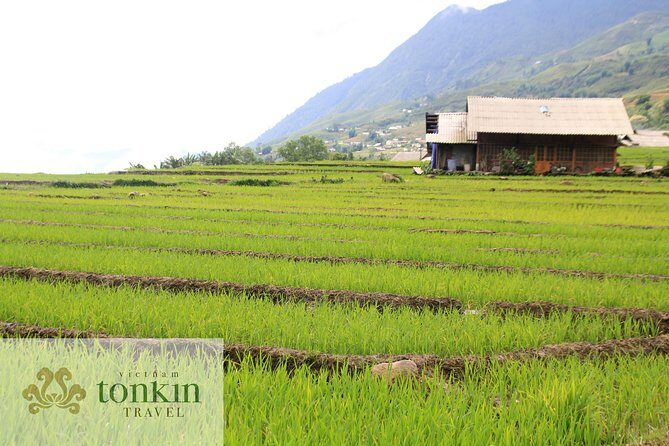 Sapa hard trekking villages homestay 3days/ 2nights tour - amazing culture - A Deep Dive into the Sapa Trekking Experience
