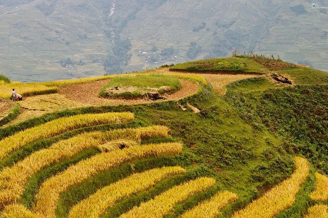 Sapa Motorbike Tour 1 Day| See All Of Rice Fields & Valleys in One Day - Final Thoughts: Is This Tour for You?