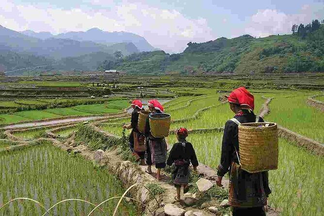 Sapa Private Car Tour - 1 Day Enjoy the Rice Terraced Fields - What Makes This Tour Stand Out