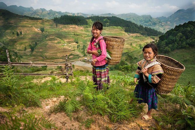 Sapa Private Car Tour - 1 Day Enjoy the Rice Terraced Fields - Value for Money