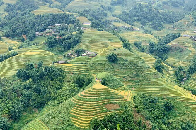 Sapa The Hidden Trail Trek 1 Day - Mountain & Rice Valley - Practical Tips for Making the Most of Your Trek