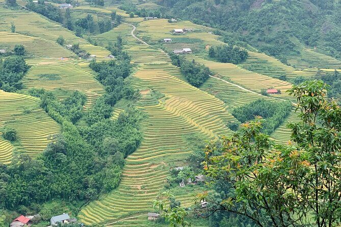 Sapa The Hidden Trail Trek 1 Day - Mountain & Rice Valley - FAQs