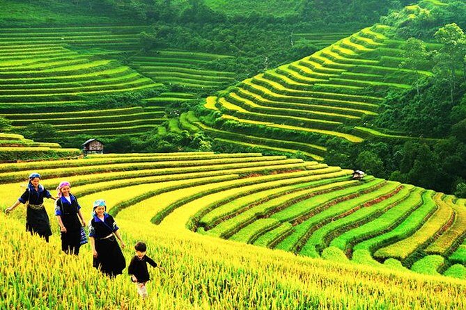 Sapa Tours 2D1N stay At 4 stars hotel nice Sleeping Bus TRANSFER - An In-Depth Look at the Sapa 2D1N Tour