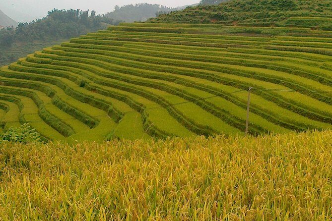 Sapa tours - Final Thoughts: Is This Tour Right for You?