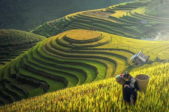 Sapa Trek Tours -2D1N Stay At 3*** -TRANSFER BY SLEEPING BUS - Practical Tips for Your Sapa Trek