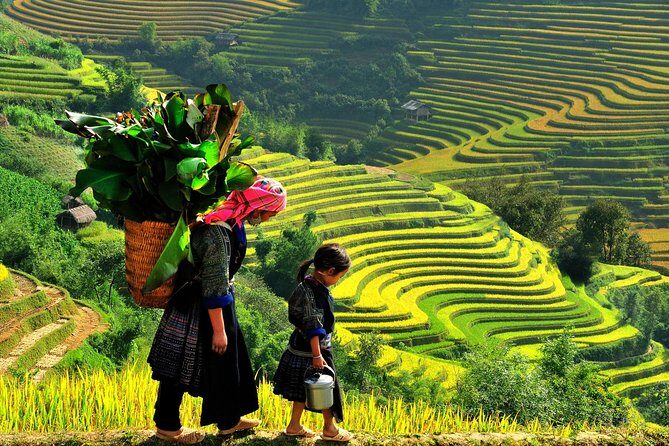 Sapa Trekking 2 Days 1 Night - Key Points