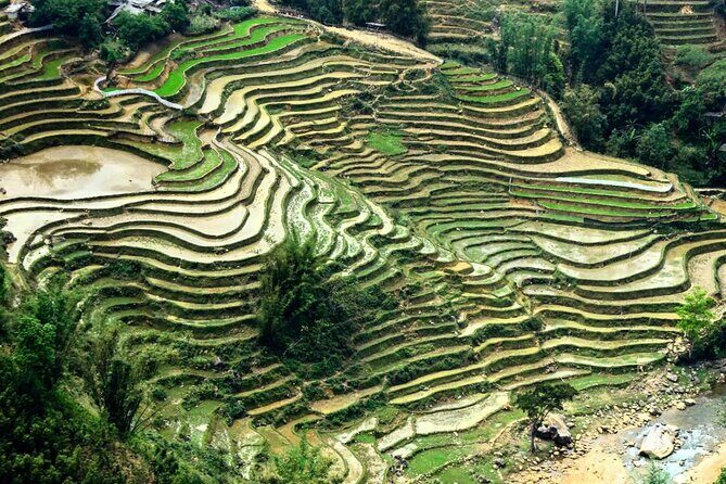 Sapa Trekking 3Day - 2 Night By Sleeper Bus - FAQs