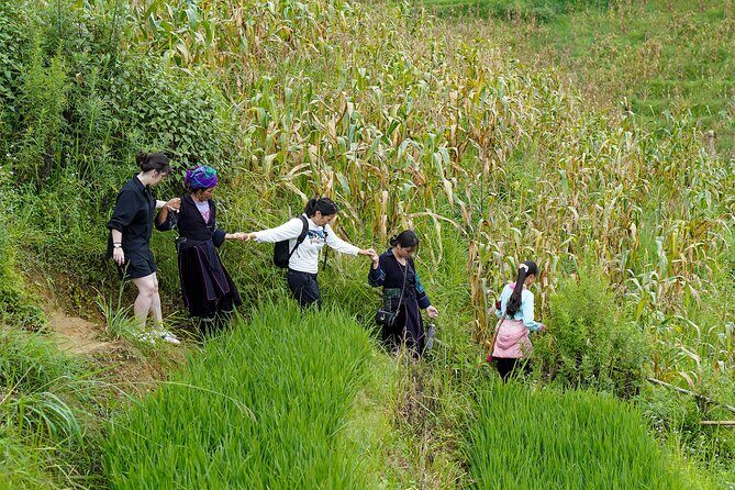 Sapa Trekking & Homestay 2 Days 1 Night - An In-Depth Look at the Tour