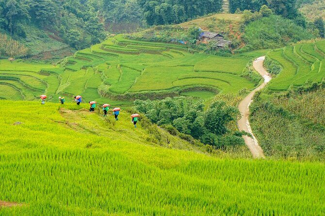 Sapa Trekking & Homestay 2 Days 1 Night - Practical Aspects and Value